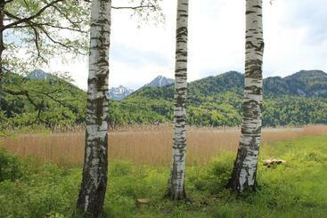 호텔 Birkenhof Pension Mit Herz