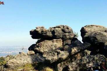 ホテル Schwarzer Bar