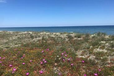 Жильё для туристов Alba Serena