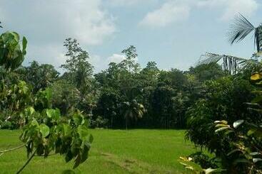 ペンション Fendi Eco Lodge