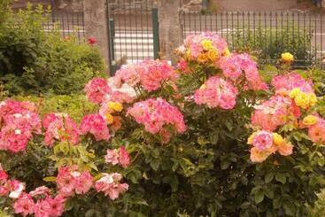 ベッドアンドブレックファースト Villa Costanza