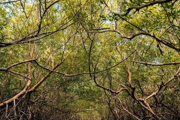 هتل Icaraí Beach