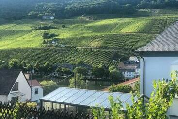 ツーリストアパートメント Ferienwohnung Mosel