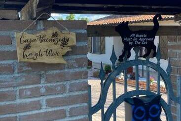 Жильё для туристов Casa Vacanze Fra Gli Ulivi