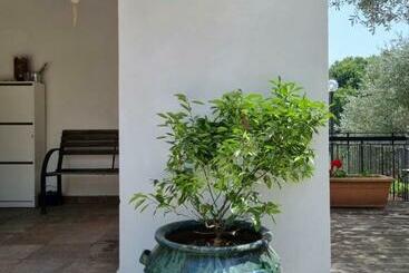 פנסיון Da Bijoux