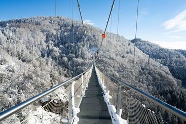 Black Forest Hotel Todtnau