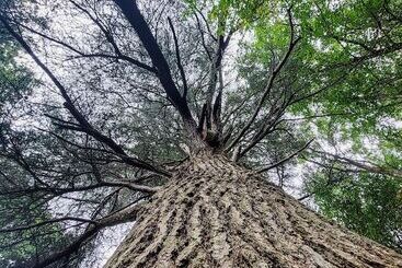 پانسیون Domaine Du Val Sauvage