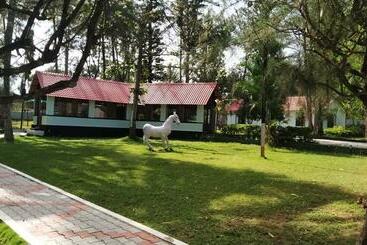 The Wild Fo Rest Resorts