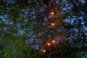 호텔 Cabañas El Sabinito