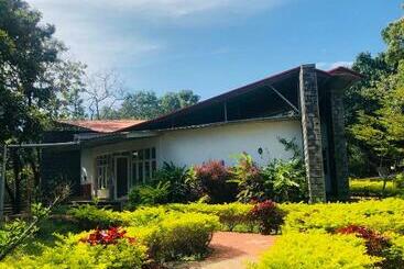 The Tamarai Yelagiri