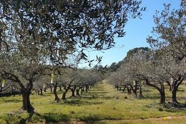 تختخواب و صبحانه Les Hauts Du Peireguier