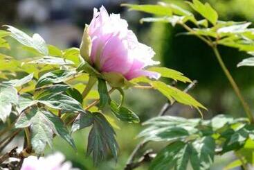 膳宿费 Art And Sport Pinè