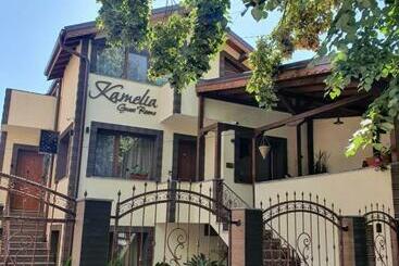 בית מלון כפרי Kamelia Guest Rooms