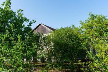 Пансион Dream Guest House