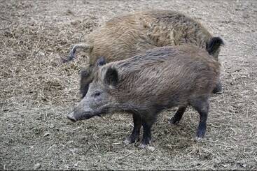 شقق خاصة سياحية The House To Stay For Holidays