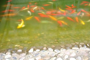 Noahs Hotel Suzhou