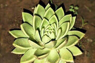 ペンション Ikamva Guest House