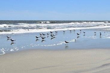 호스텔 The 1890 Freeman House