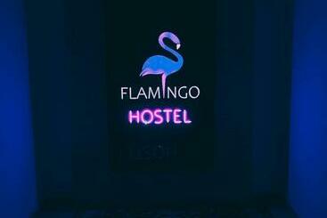 هاستل Flamingo