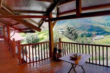 تختخواب و صبحانه Madame View Homestay