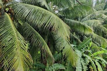 호텔 Nancowry Resort