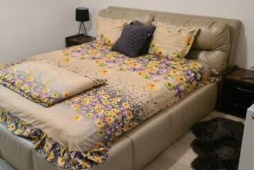 관광객 아파트 Apartament Cu 1 Camera Spatios ,luminos