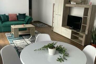 游客公寓 Apartament Adriana Ultracentral