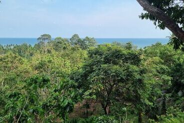 Pawpaw Resort