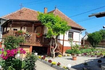 관광객 아파트 Casa Teonia