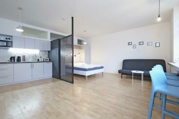 شقق خاصة سياحية City Hall View Apartment Liberec