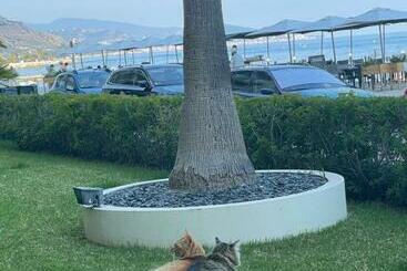 شقق خاصة سياحية Appartamento Incantevole A Menton Fronte Spiaggia