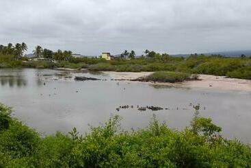 פנסיון My House