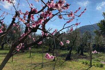 관광객 아파트 Casa Degli Ulivi Alloggio Turistico