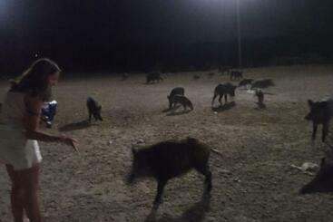 Жильё для туристов Casa Vacanze Claudia A Torre Del Lago Puccini