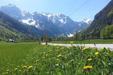 هتل Plesnik Logarska Dolina