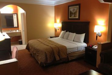 ホテル Scottish Inns And Suites Alvin