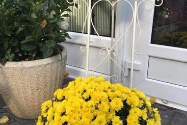 ホテル Solar Club