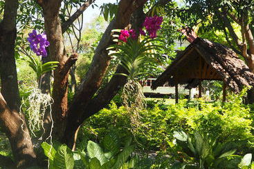 膳宿费 Thai Bamboo Guesthouse Resort