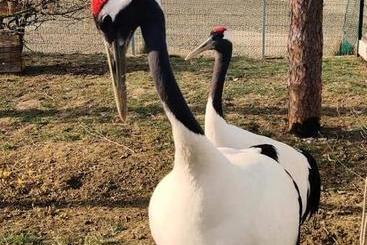 پانسیون Penzión Eko Park Piešťany