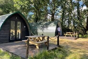관광객 아파트 Nightjar Cabin At Cloudshill Glade