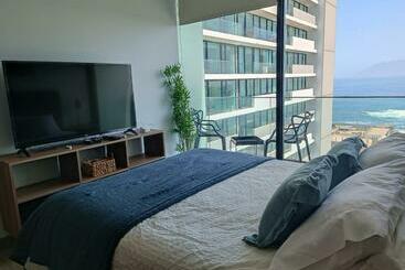 游客公寓 Hom I Hermoso Estudio, Estacionamiento Pnb 2017