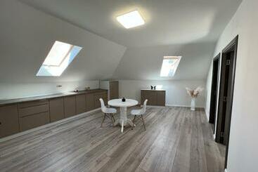 ツーリストアパートメント Central Apart 1