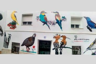 דירות לתיירים La Casa De Los Pájaros