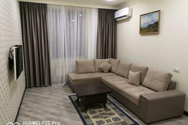 관광객 아파트 двухкомнатная квартира в новостройке ,центре еревана, возле площади республика