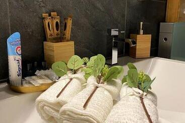 ツーリストアパートメント Stylish Two Floor Apartment In A Heart Of Basel