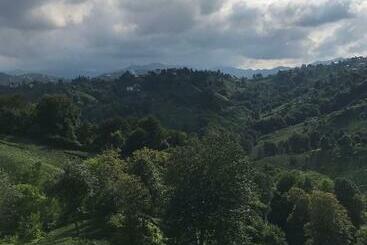 ツーリストアパートメント özel Bahçeli Lüx Villa