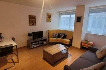 ツーリストアパートメント Nouveau !! Appartement Confortable Totalement Rénové Avec Parking Gratuit   Hypercentre De Nancy