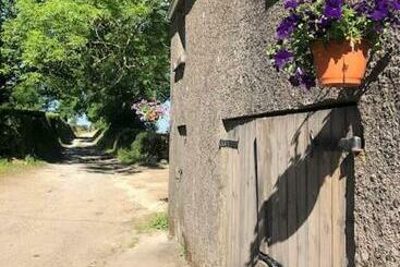 ツーリストアパートメント Lucys Loft