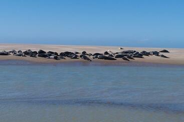 游客公寓 Le Gîte De La Salicorne