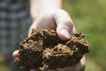 Agriturismo Villa Venti